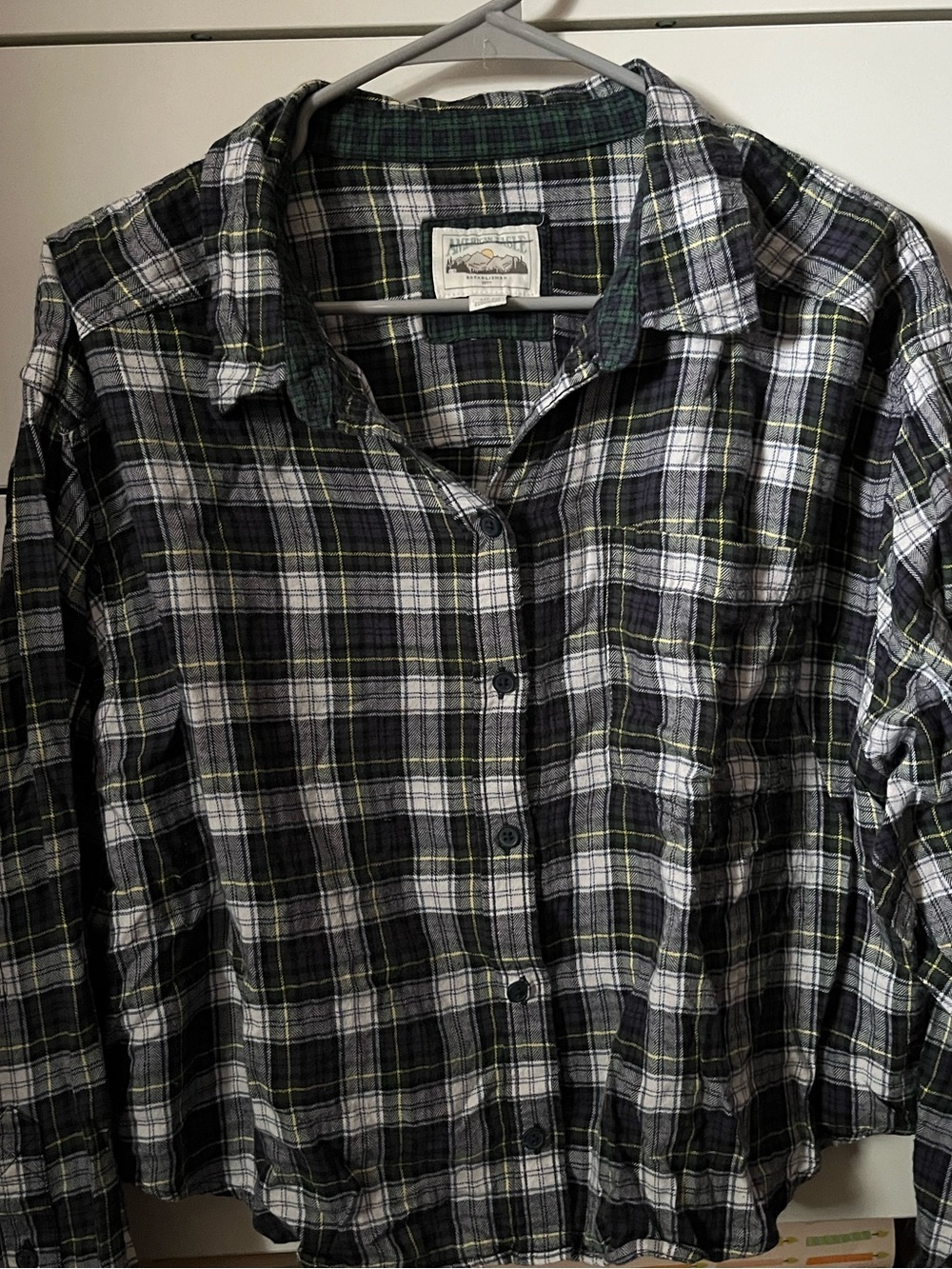 American Eagle Outfitters Plaid Button-Down Shirt